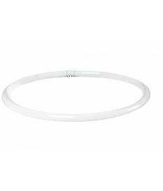 Lampada fluorescente, tubo ad anello 40W G10q, 30 mm