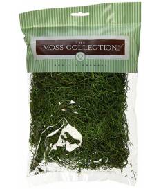 Muschio Spagnolo The Moss Collection