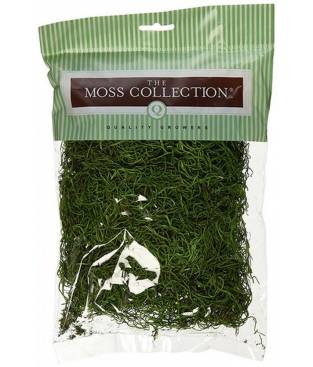 Muschio Spagnolo The Moss Collection