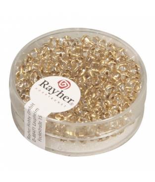 Perline a doppio foro colore oro trasparente 2,5x5 mm