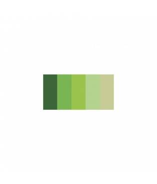Strisce Quilling di Carta 3mm 100 pezzi - Colori Assortiti - 5 Gradazioni Verde