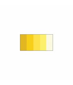 Strisce Quilling di Carta 6mm 100 pezzi - Colori Assortiti - 5 Gradazioni Giallo