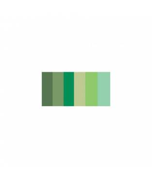Strisce Quilling di Carta 6mm 100 pezzi - Colori Assortiti - 6 Gradazioni Verde